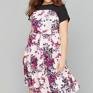 Short Sleeve Fit and Flare Dress